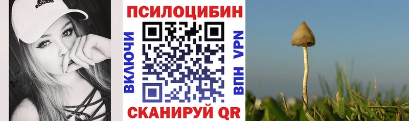 Купить закладки  Кубинка  Псилоцибиновые грибы Psilocybine cubensis 